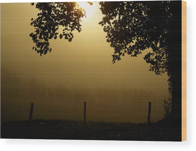 Cades Cove Wood Print featuring the photograph Shining Through The Fog by Michael Eingle