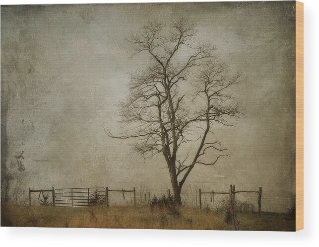 Tree Wood Print featuring the photograph Silent Solitude by Kathy Jennings