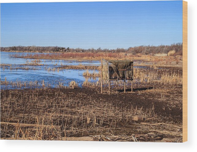 Landscape Wood Print featuring the photograph Silent Study by Doug Long