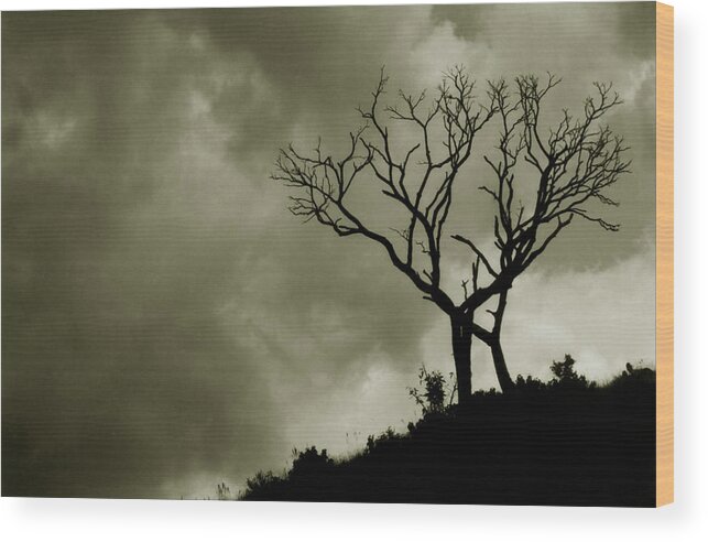 Silhouette Wood Print featuring the photograph Silhouette by Amarildo Correa