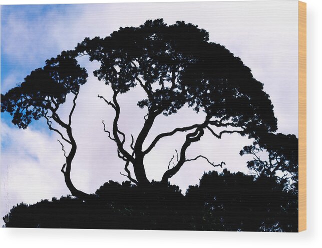 Tree Wood Print featuring the photograph Silhouette by Jim Thompson