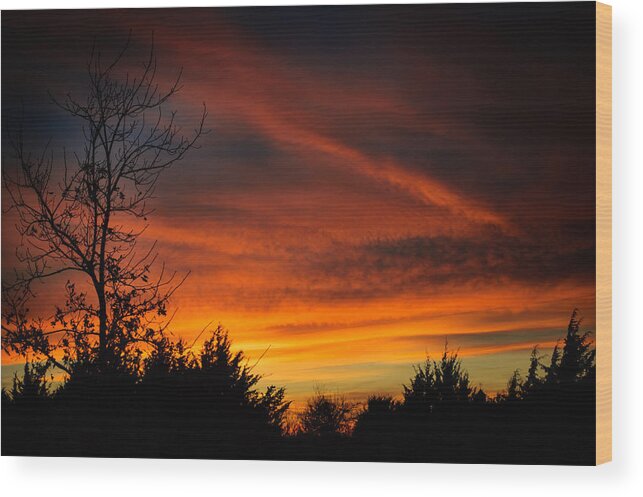 Sunset Wood Print featuring the photograph Silhouette Sunset by Courtney S