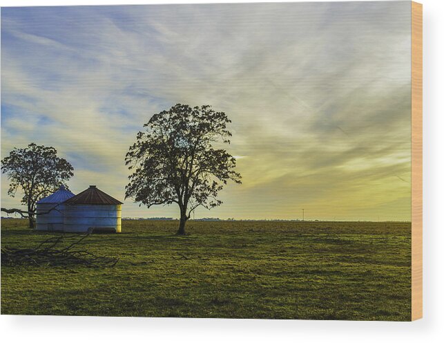 Silos Wood Print featuring the photograph Silos At Sunset by Spencer Hughes
