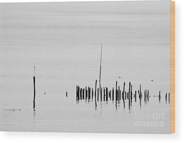 Heiko Wood Print featuring the photograph Silver Pond and Poles by Heiko Koehrer-Wagner