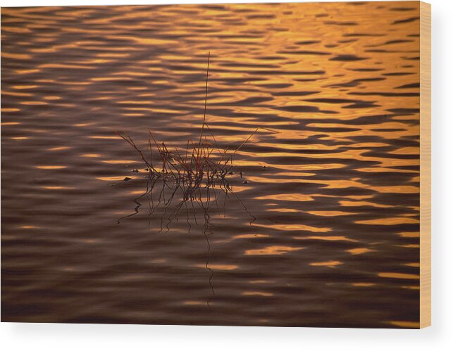 Rippled Water Wood Print featuring the photograph Simple Sunset by Bonnie Bruno