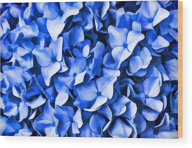 Blue Wood Print featuring the photograph Simply Blue by Cathy Kovarik