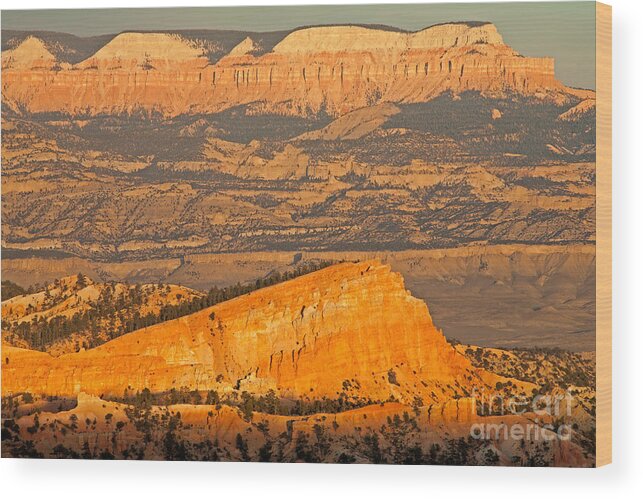 Bryce Canyon Wood Print featuring the photograph Sinking Ship Sunset Point Bryce Canyon National Park by Fred Stearns