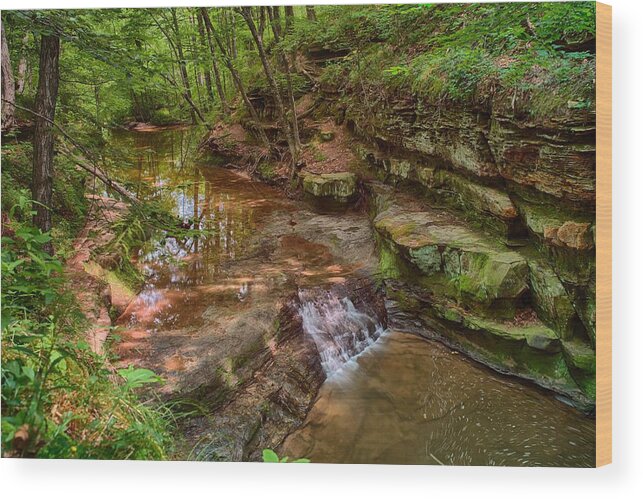 Pewits Nest Wood Print featuring the photograph Skillet Creek by Jonah Anderson