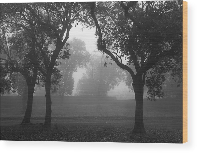 Fog Wood Print featuring the photograph SKC 0063 Atmospheric Bliss by Sunil Kapadia