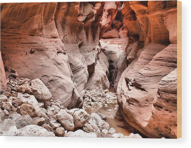 Slot Wood Print featuring the photograph Slot Canyon Hike by Farol Tomson