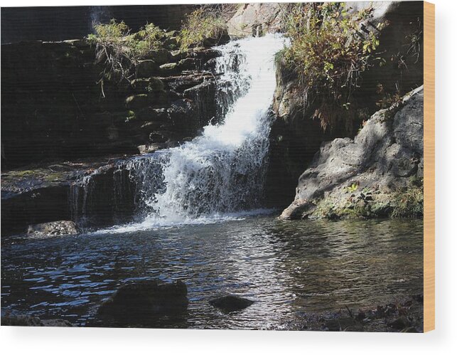 Water Wood Print featuring the photograph Small falls by Edward Hamilton