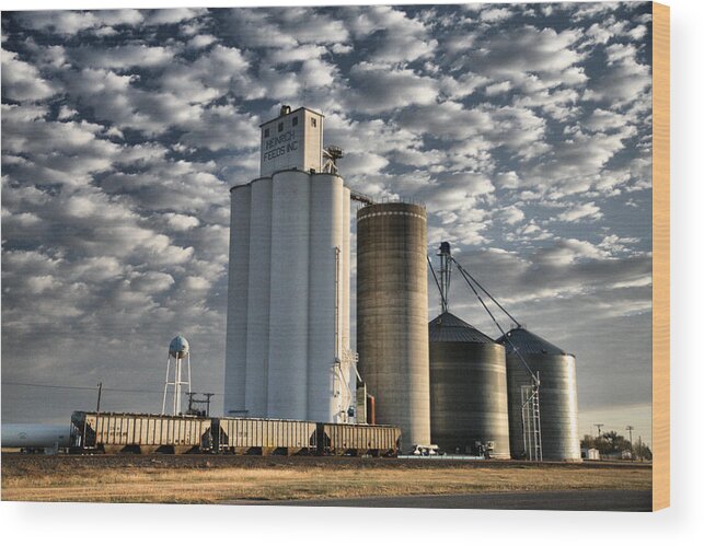  Small Town Wood Print featuring the photograph Small Town Elevators by Shirley Heier