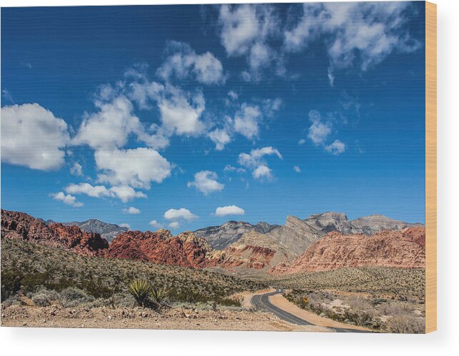 Landscape Wood Print featuring the photograph Smoke Signal by Tammy Espino