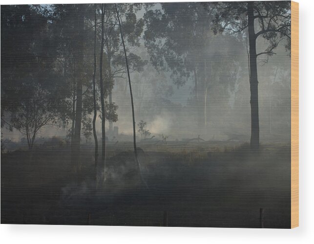 Smoke Wood Print featuring the photograph Smoke Threw The Trees by Michael Podesta 