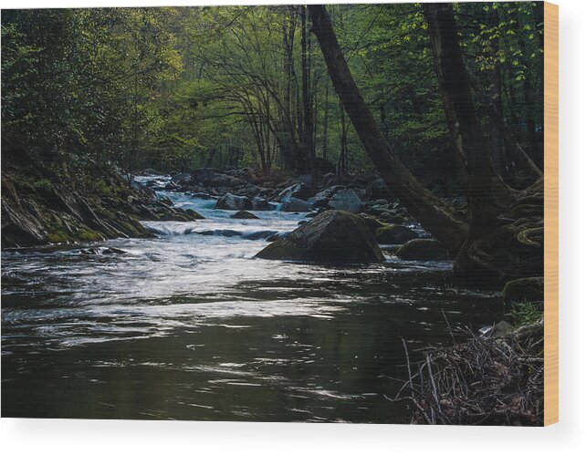 Great Smoky Mountains National Park Wood Print featuring the photograph Smoky Mountain Stream by Jay Stockhaus