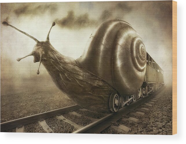 Fun Wood Print featuring the photograph Snail Mail by Christophe Kiciak