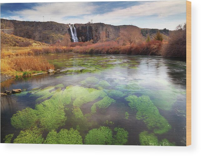 Scenics Wood Print featuring the photograph Snake River And Thousand Springs, Idaho by Anna Gorin