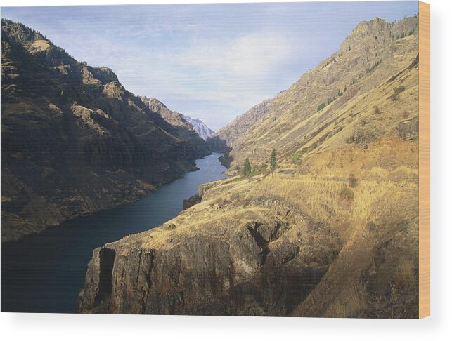 Shadow Wood Print featuring the photograph Snake River Canyon by John Elk
