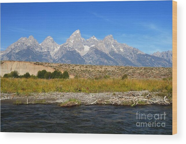 Snake River Wood Print featuring the photograph Snake Views by Deanna Cagle