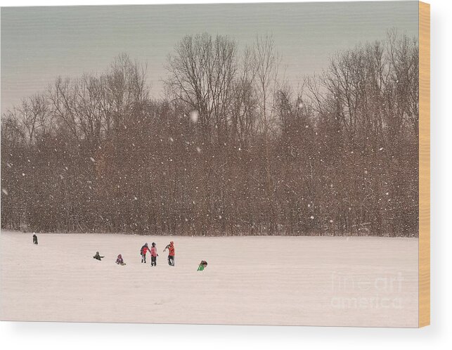Winter Wood Print featuring the photograph Snow Day Fun by Amy Lucid