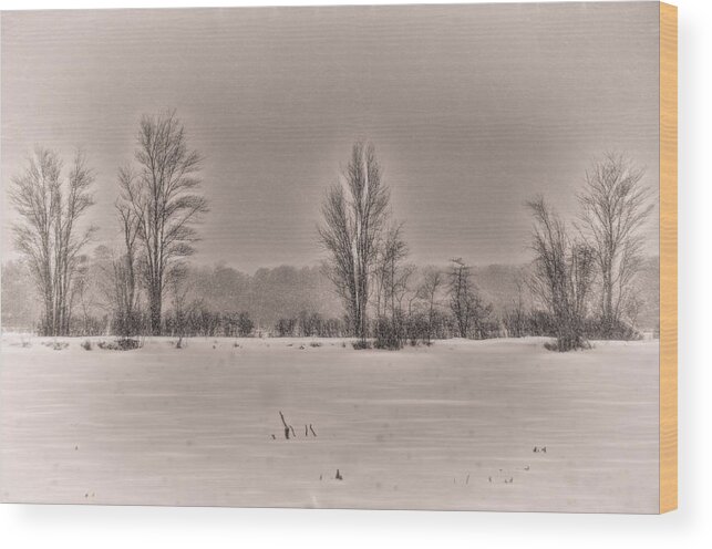 Snowfall Wood Print featuring the photograph Snow Falling on Bare Trees 2 by Beth Venner