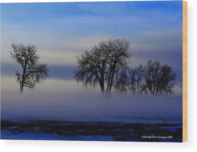 Colorado Born Images Wood Print featuring the photograph Snow Fog by Rebecca Adams