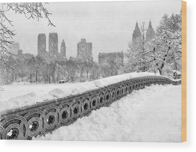 Central Park Wood Print featuring the photograph Snow In Central Park NYC by Susan Candelario