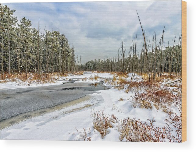 New Jersey Wood Print featuring the photograph Snow on Roberts Branch by Louis Dallara