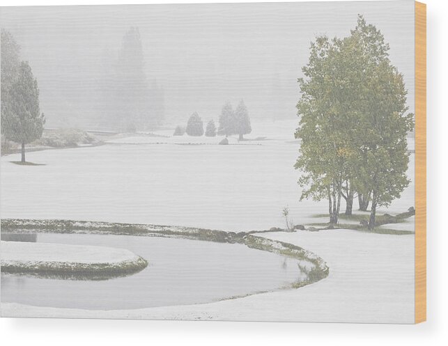 Graeagle Meadows Wood Print featuring the photograph Snow on the Meadows by Mick Burkey