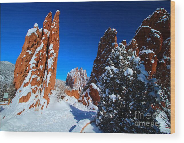 Winter Wood Print featuring the photograph Snow on Vertical Rock Formations at Garden of the Gods by JD Smith