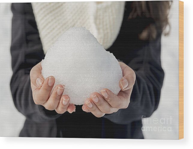 Snowball Wood Print featuring the photograph Snowball by THP Creative