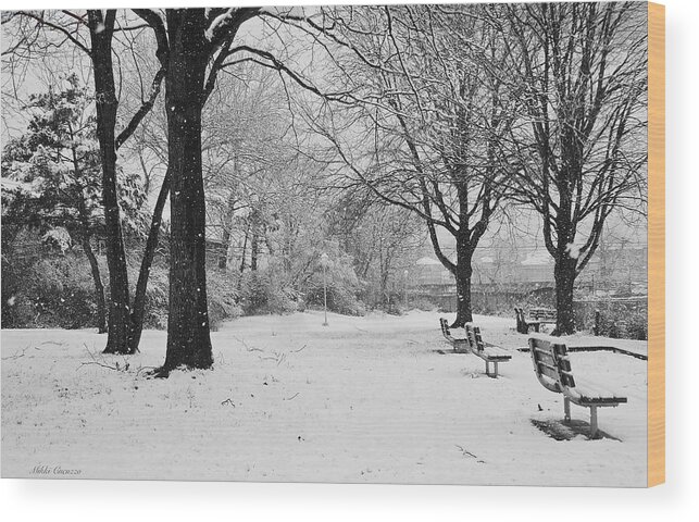 Seasonal Wood Print featuring the photograph Snowing Out in black and white by Mikki Cucuzzo