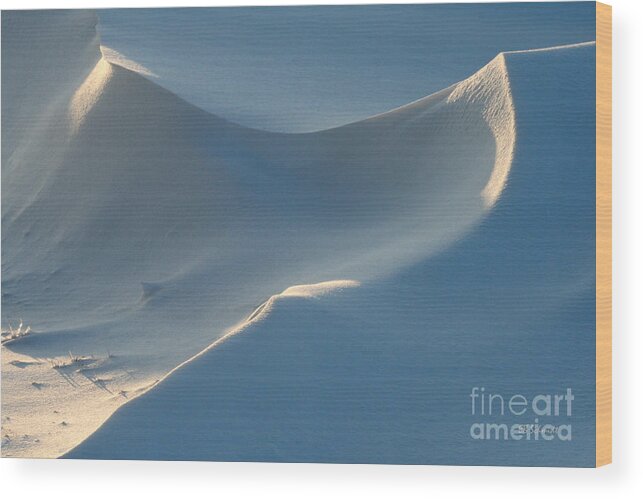 Snowscape Wood Print featuring the photograph Snowscapes 1 by E B Schmidt