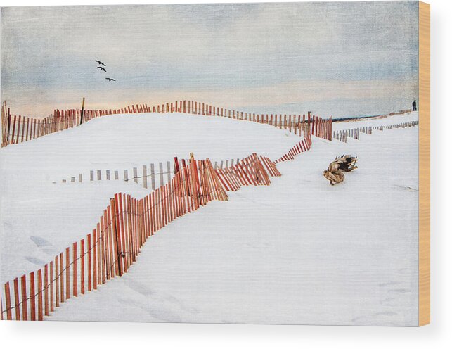 Beach Wood Print featuring the photograph Snowy Beach by Cathy Kovarik
