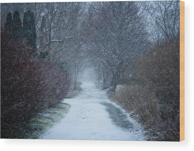 Snow Falling Wood Print featuring the photograph Snowy Day in Newport by Allan Millora