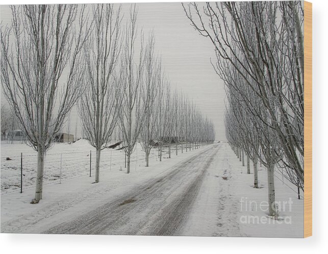 Snow Wood Print featuring the photograph Snowy lane by Richard Lynch
