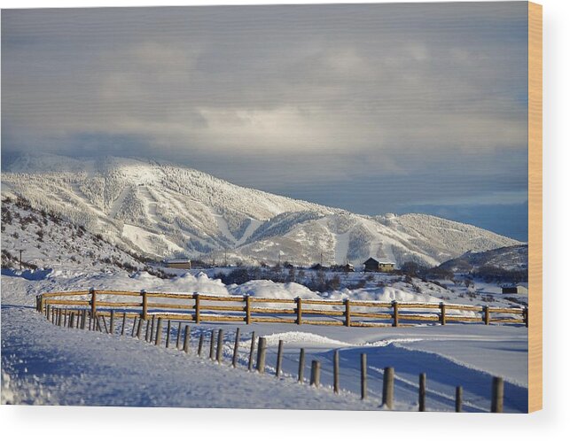 Steamboat Springs Wood Print featuring the photograph Snowy Scene by Matt Helm