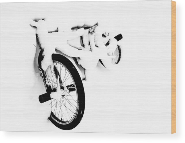 Bike Wood Print featuring the photograph Soft Spoken by Darcy Dietrich