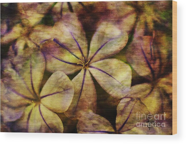 Flower Art Wood Print featuring the painting Soft Violet and Orange Flower Art by Jani Bryson