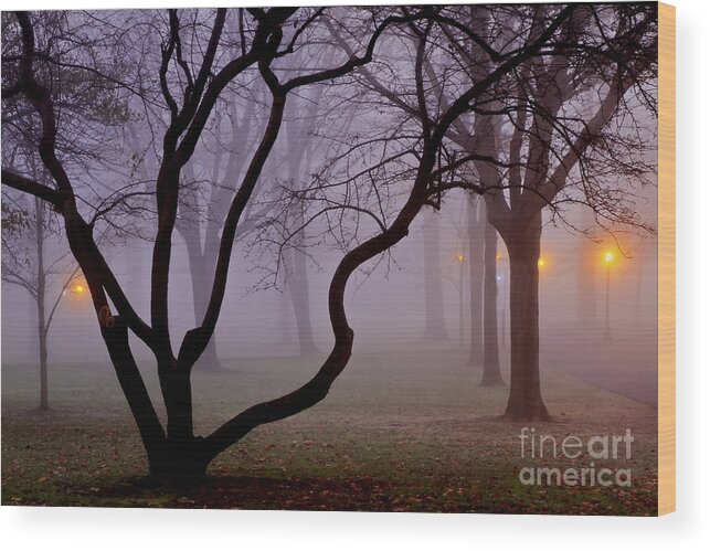 Fog Wood Print featuring the photograph Solitudes Glow by Brenda Giasson