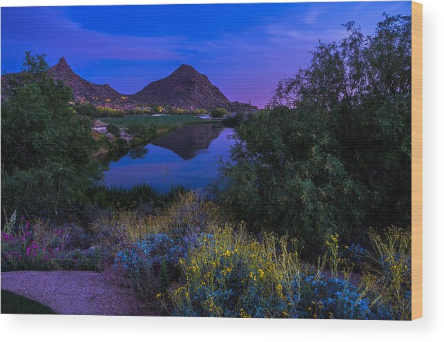 Arizona Wood Print featuring the photograph Sonoran Desert at Dusk by Scott McGuire
