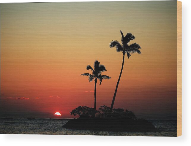 Waialae Country Club Wood Print featuring the photograph Sony Open In Hawaii - Round One by Cliff Hawkins