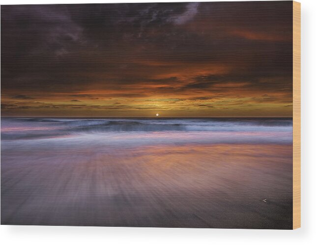 Beach Wood Print featuring the photograph South Beach #1 by Don Hoekwater Photography