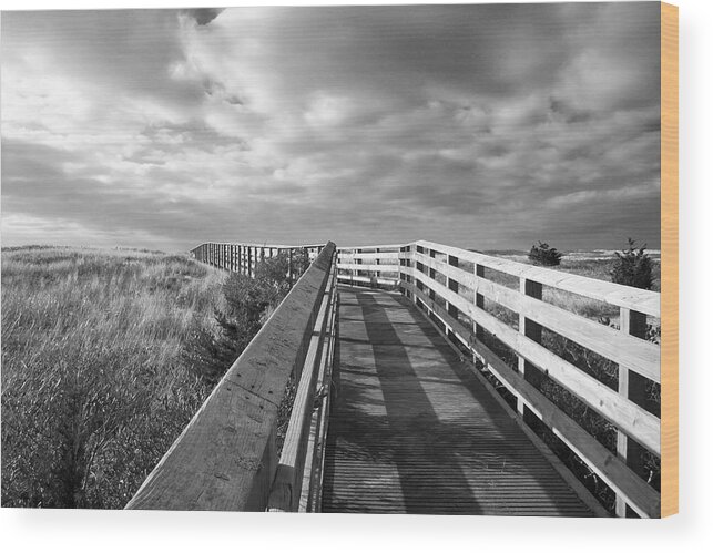 Cape Cod Wood Print featuring the photograph South Cape Beach Boardwalk by Brooke T Ryan