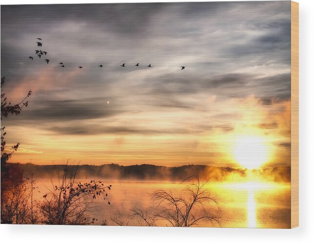 Lake Wood Print featuring the photograph South Carolina Morning by Lynne Jenkins