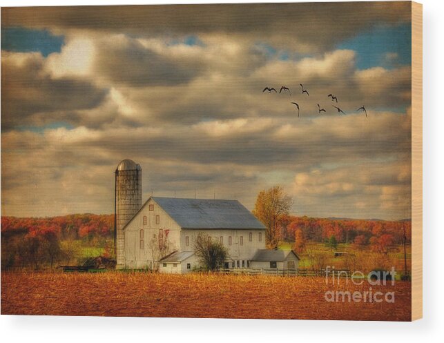 White Barn Wood Print featuring the photograph South For The Winter by Lois Bryan