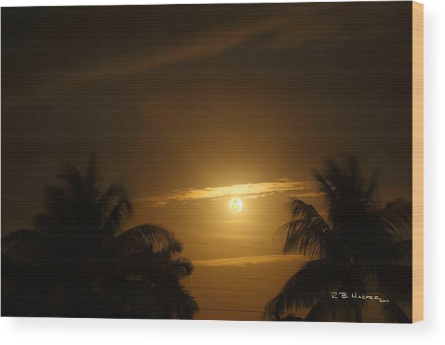 Landscape Wood Print featuring the photograph South Puffin Moon by R B Harper
