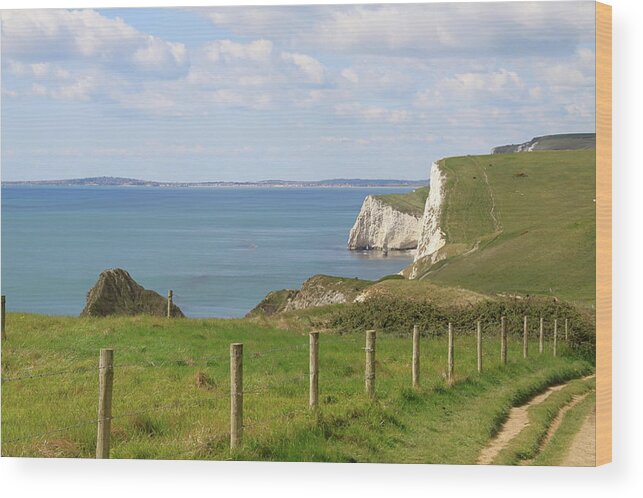 Tranquility Wood Print featuring the photograph South West Coastal Path, Dorset by Jodie Wallis