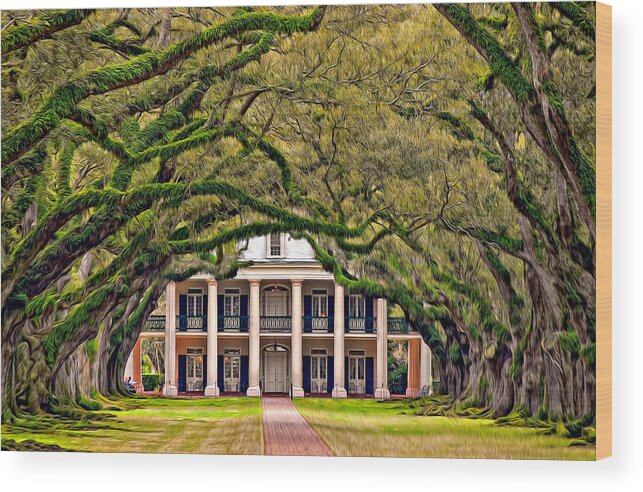 Oak Alley Plantation Wood Print featuring the photograph Southern Class Oil by Steve Harrington