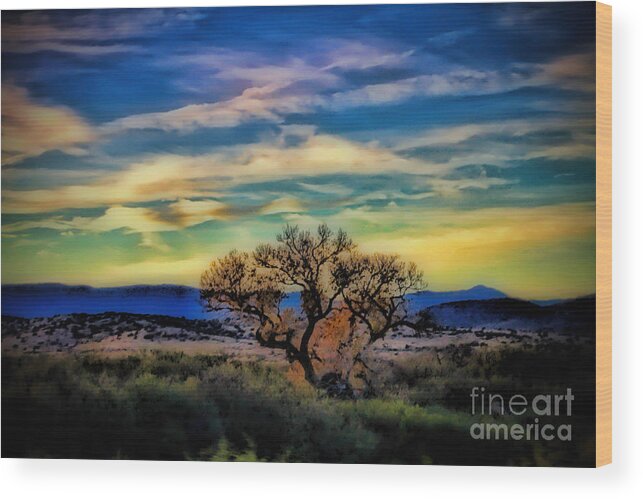 Sunset Wood Print featuring the photograph Southwestern Sunset by Elizabeth Winter